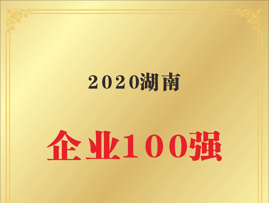 湖南企業(yè)100強